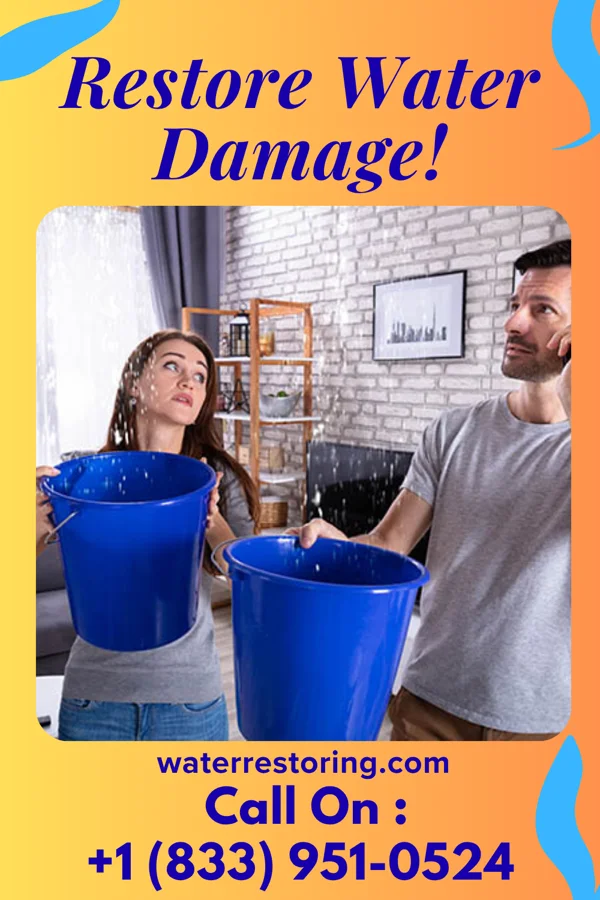 water restoration New Restoration Specialists Meridian