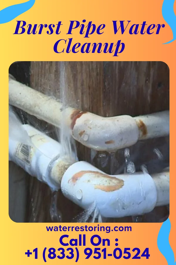 Burst Pipe Water Cleanup in Meridian, PA