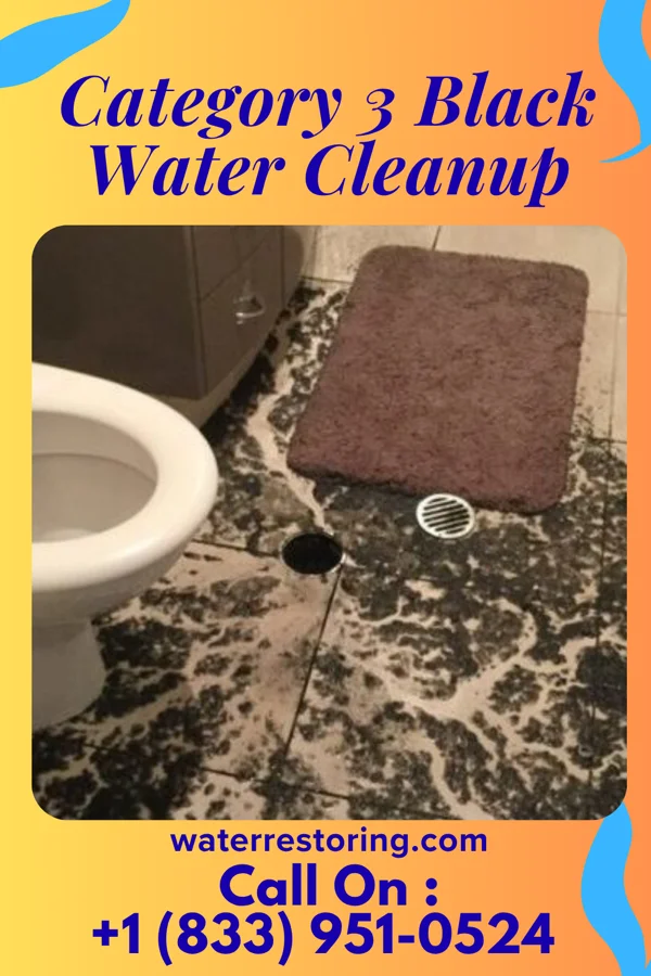 Category 3 Black Water Cleanup in Meridian, PA