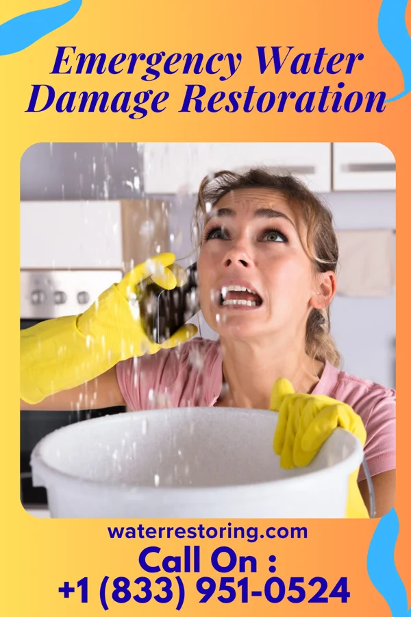 Emergency Water Damage Restoration in Meridian, PA