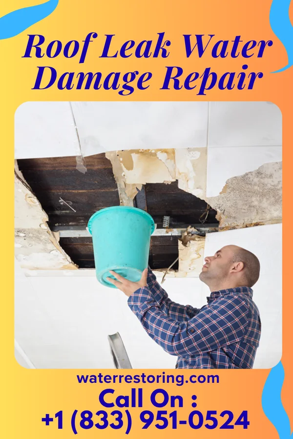 Roof Leak Water Damage Repair in Meridian, PA
