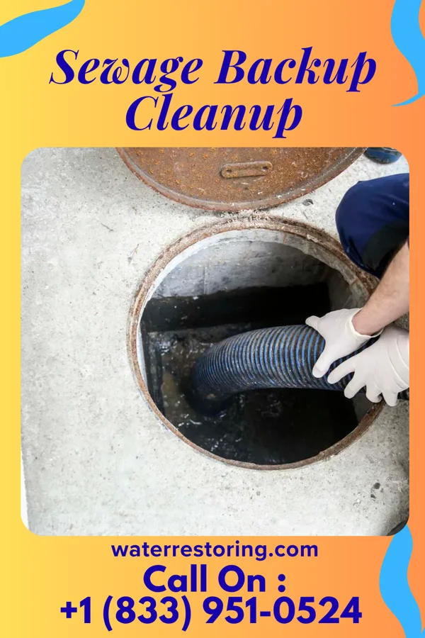 Sewage Backup Cleanup in Meridian, PA