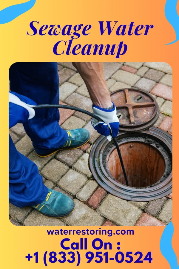 Sewage Water Cleanup in Meridian, PA