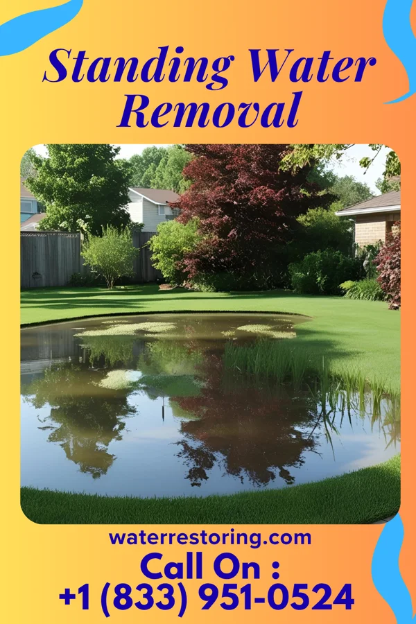 Standing Water Removal in Meridian, PA